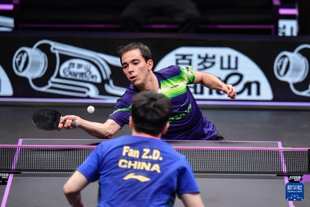 迷和专家之 迷和专家之