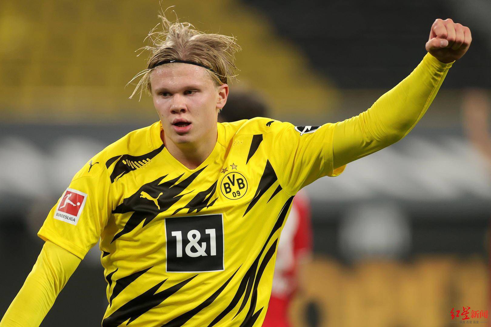 主题 主题